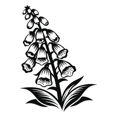 Foxglove Flower Silhouette, Digitalis Plant in Monochrome, Floral Design Element © Shipon