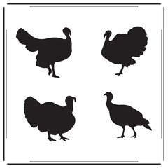 Turkey silhouette, Turkey illustration , Turkey clipart, Turkey vector , Turkey icon , black Turkey , Turkey illustration on white background,