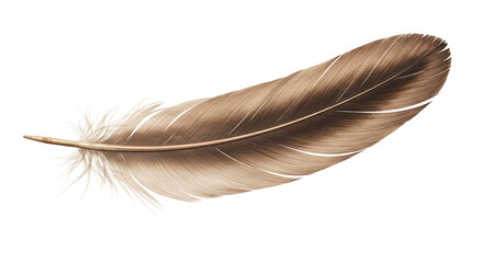 A single brown feather isolated against a black background with intricate details and soft texture shown © Md_Hasnain_Asif