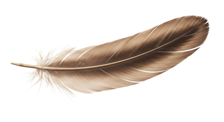 A single brown feather isolated against a black background with intricate details and soft texture shown