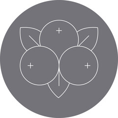 Cranberries single vector illustration icon