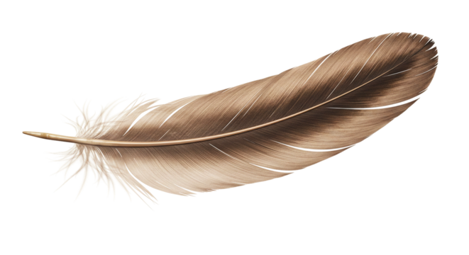 A single brown feather isolated against a black background with intricate details and soft texture shown