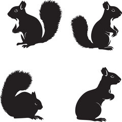 Squirrel set silhouette on white background 