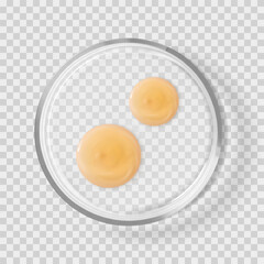 Glass Petri dish with shampoo drops isolated realistic vector illustration. Concept laboratory tests and research skincare cosmetic beauty product