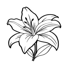 Black and white lily flower illustration with floral design and petal details, featuring a nature-inspired pattern and elegant silhouette