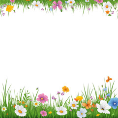 Grassy border with colorful spring flowers on Png Format and Transparent Background