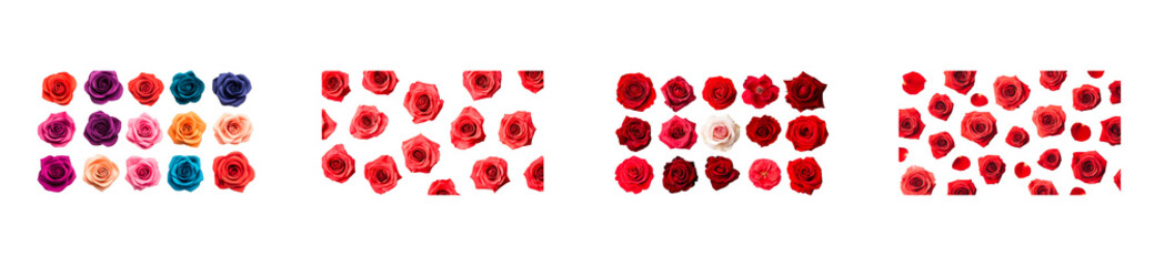 Fototapeta premium Colorful roses arranged in patterns on a transparent background