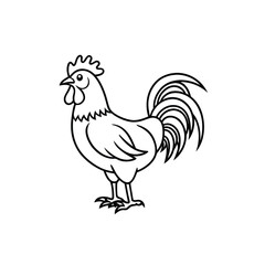 rooster  line art vector Illustrator 