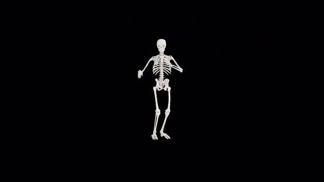 3D skeleton animation alpha channel