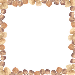Square frame with hand drawn dried hydrangea flowers. Watercolor illustration.