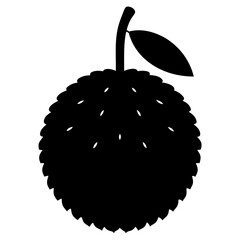 vector illustration of a lychee