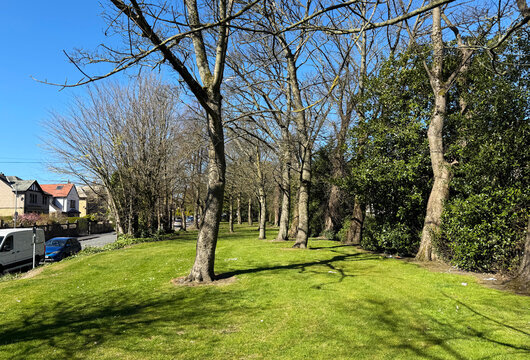 Tall trees line a grassy pathway on a sunny day, casting intricate shadows on the ground. Residential houses and parked cars are visible to the left on, Baslow Grove, Bradford, UK