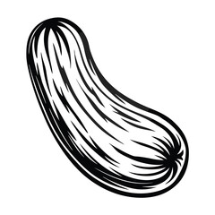 Black & White Hand Drawn Zucchini Isolated Fresh Vegetable Art Print