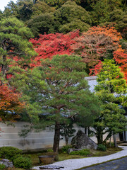 Autumn colors in Kyoto's Higashiyama district - Kyoto, Japan