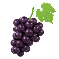 Fototapeta premium Cluster of fresh purple grapes with leaf on white background