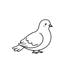 Naklejka premium Cute white dove standing against a plain white background 