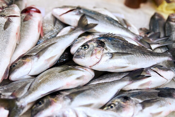 There is a wide range of fresh fish on the market. Mediterranean fresh fish with ice. Healthy eating.
