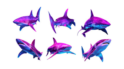 Fototapeta premium Pack Shark Set in Different Poses Against Transparent Background for Marine Life, Ocean Illustration, or Wildlife Design