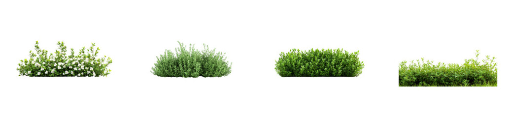 Fototapeta premium Lush green bushes, shrubs, and flowers in an outdoor setting, cut out transparent