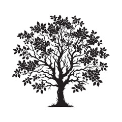 Hawthorn Tree Silhouette - Tree Vector - Hawthorn Tree Illustration - Hawthorn Tree Art.