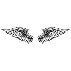 Fototapeta premium vintage vector wings isolated on white background. Design