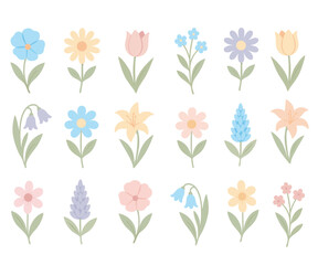 zarte Blumen Set Wiesenblumen pastell 