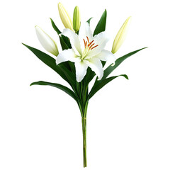 Obraz premium lily bouquet isolated on transparent background