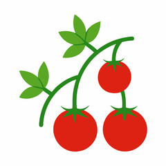 Vector art illustration of tomatoes on a vine