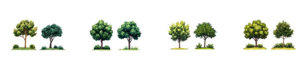 Obraz premium Watercolor trees, set, summer, landscaping, design, illustration, isolated, cut out transparent
