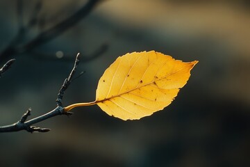 Obraz premium A vibrant yellow leaf clings to a bare branch, showcasing nature’s enduring beauty against a blurred backdrop.