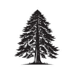 Hemlock tree Silhouette - Hemlock Tree Vector - Tree Design - Tree Art - Hemlock Illustration.
