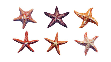 Pack Star Set in Different Poses on Transparent Background for Cosmic, Festive, and Decorative Designs
