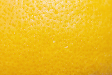 Lemon with water drops macro photo as background. Lemon skin is yellow, thin focus part.