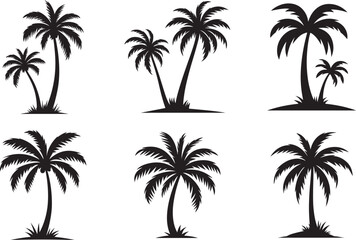 Fototapeta premium a collection of black palm tree silhouettes on white background