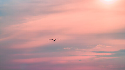 Obraz premium Mountains silhouetted against a coastline bathed in pink and orange hues at dusk. The horizon fades into a soft mist, creating a serene atmosphere.