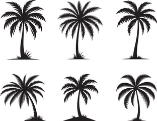 Fototapeta premium a set of six black palm trees on white background
