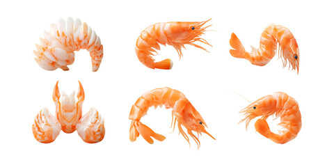 Obraz premium Pack Shrimp Set in Different Poses Against Transparent Background for Seafood Branding, Culinary Use, or Ocean Illustration