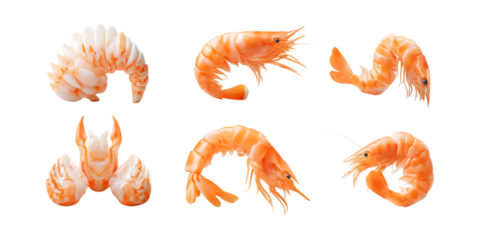 Pack Shrimp Set in Different Poses Against Transparent Background for Seafood Branding, Culinary Use, or Ocean Illustration