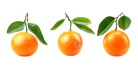Pack Tangerine Fruit Set in Different Poses on Transparent Background for Food, Healthy, and Agriculture-Themed Designs