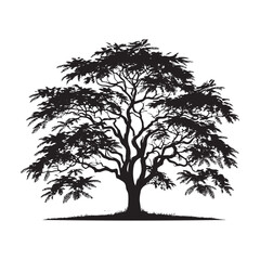 Obraz premium Honey Locust Tree Silhouette - Minimalist Honey Locust Vector - Honey Locust Art - Tree Design - Tree Illustration.