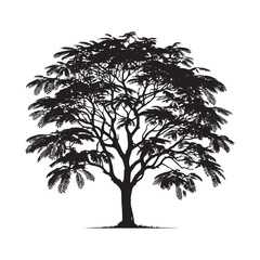 Obraz premium Honey Locust Tree Silhouette - Minimalist Honey Locust Vector - Honey Locust Art - Tree Design - Tree Illustration.