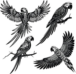 Macaw Silhouette Set for Exotic Bird and Tropical Nature Designs