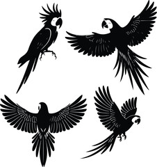 Obraz premium Macaw Silhouette Set for Exotic Bird and Tropical Nature Designs