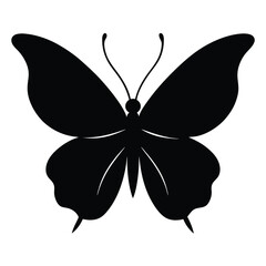 butterfly silhouette isolated on white background