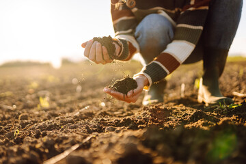 Close-up of a female farmer pouring fertile soil, checking the quality in an agricultural field....