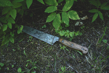 An antique kitchen knife with a wooden handle and a metal blade lies on the ground.A discarded...