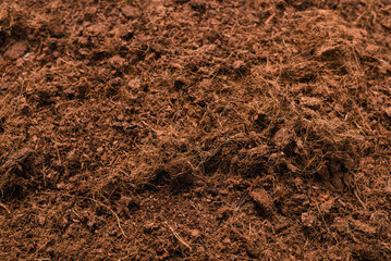 Black land for plant.