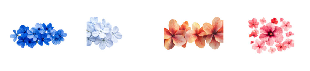 Colorful assortment of flowers with a transparent background