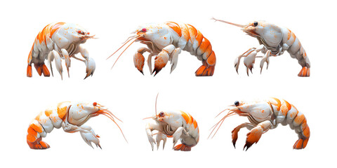 Pack Shrimp Set in Different Poses Against Transparent Background for Seafood Branding, Culinary Use, or Ocean Illustration
