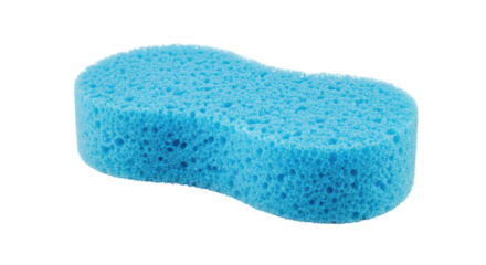 Isolated Sponge